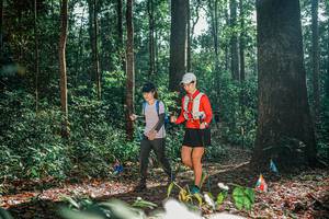 BIB: 
                            <button type="button" onclick="openModal(26077110)" class="btn btn-primary btn-sm float-right btn-popup" data-toggle="modal" data-target=".modal-high-quality">
                        <i class="fas fa-shopping-cart"></i> Add to Cart
                    </button>
                                            <button type="button" onclick="isThisMe(26077110, true)" class="btn btn-success btn-sm float-right btn-popup btn-isme hidden" data-toggle="tooltip" data-placement="bottom" title="นี่คือรูปของคุณใช่ไหม คลิกที่นี่เพื่อเอาเข้าอัลบั้ม">
                        <i class="fas fa-plus"></i> Add to album
                    </button>
                    <button type="button" onclick="isThisMe(26077110, false)" class="btn btn-warning btn-sm float-right btn-popup btn-isnotme hidden">
                        <i class="fas fa-ban"></i> Remove from album
                    </button>